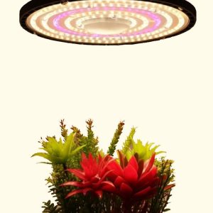 UFO-მრგვალი ბიო სანათი