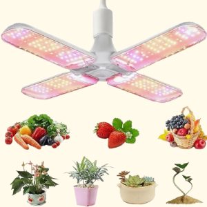 E27-სამაგრით ბიო განათება