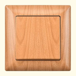 რევერსული ჩამრთველი