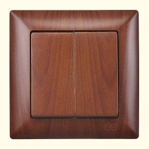 ჩამრთველი ორიანი