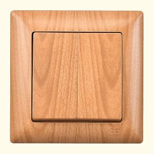 ჩამრთველი ორიანი