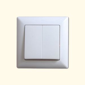 ჩამრთველი ორიანი