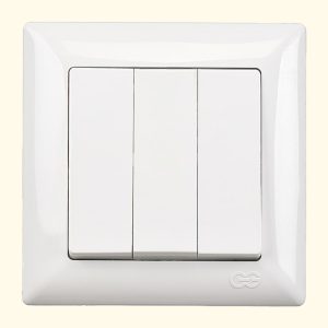 ჩამრთველი სამიანი