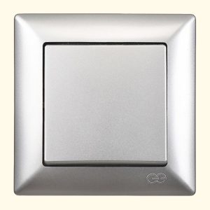 რევერსული ჩამრთველი