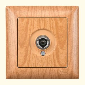 ტელევიზორის როზეტი