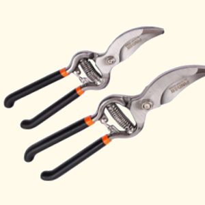 მებაღის სეკატორი